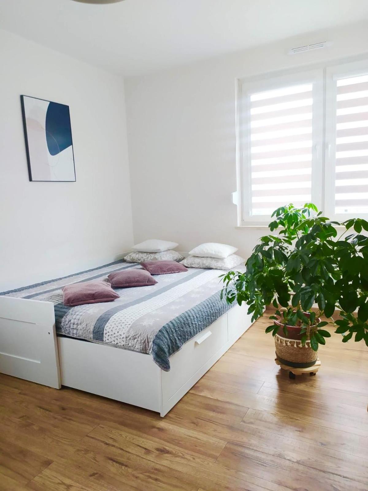 Apartament Lagiewniki Краков Экстерьер фото